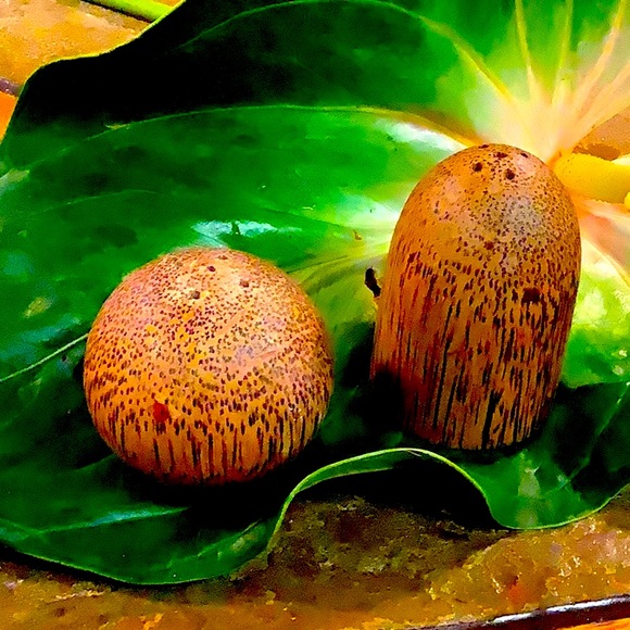 Unique and Unbranded Salt and Pepper Shakers - possibly coconut shell - Picture 8 of 8